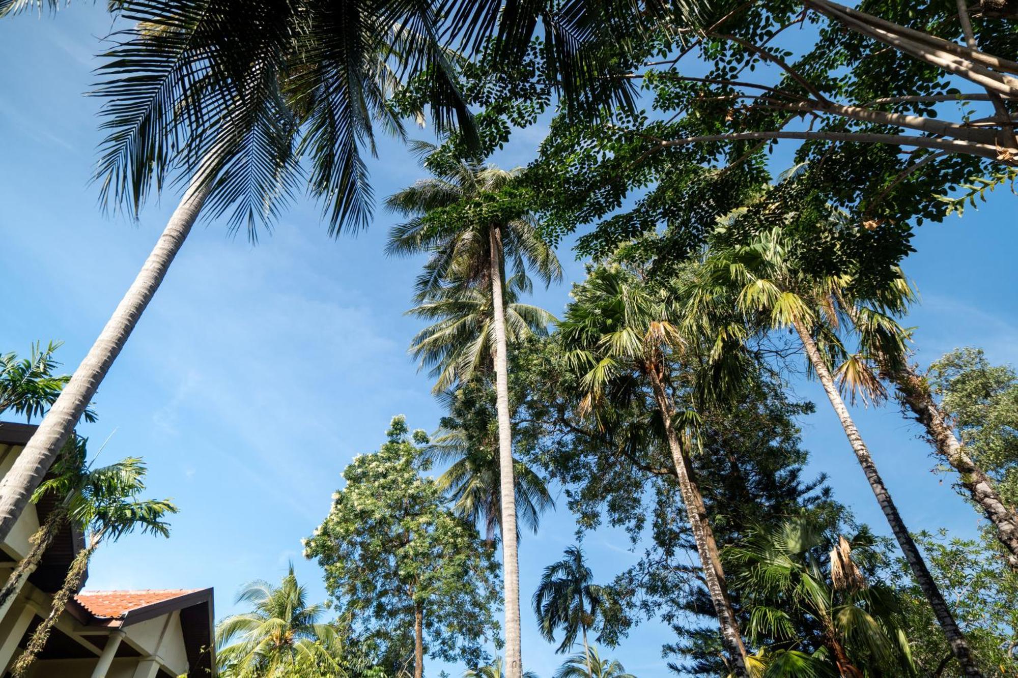 Phuket Leelavadee Hua Ting Resort Patong Eksteriør bilde
